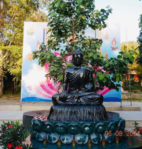 Chư Tăng Tụng Kinh Chuyển Pháp Luân tại cội Bồ Đề Viên Không