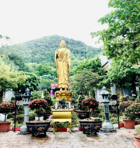 Cải Tạo Lại Vườn Hoa Nơi Đức Phật Ban Phước (Hoa Do GĐ Diệu Tâm cúng dường)