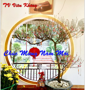 Chúc Mừng Năm Mới 